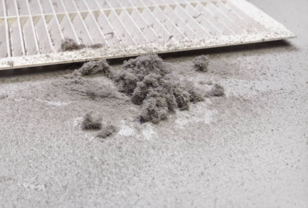 Best Residential Air Duct Cleaning  in Genoa, AR