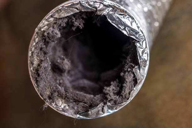 Best Air Duct Cleaning Company Near Me  in Genoa, AR