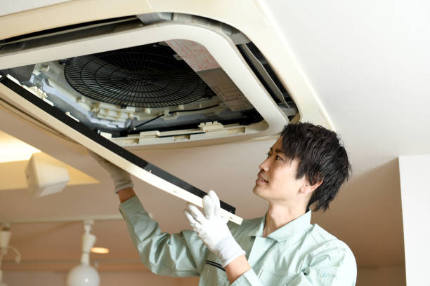 Best Air Duct Mold Removal  in Genoa, AR