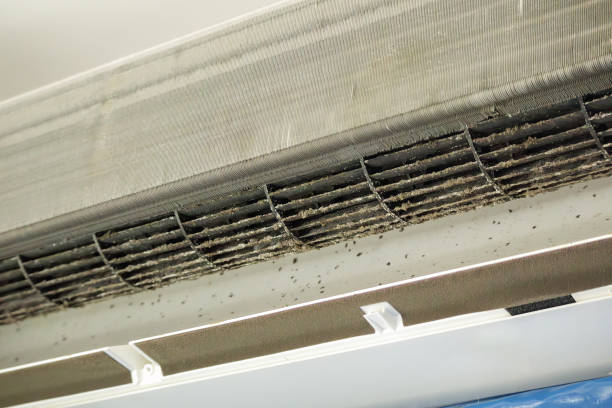 Best HVAC Maintenance and Cleaning  in Genoa, AR